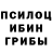 Галлюциногенные грибы прущие грибы Elmer Blande