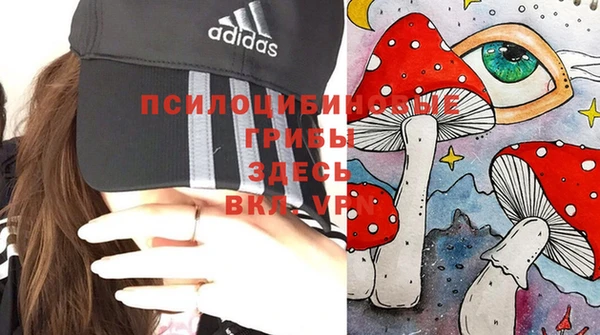 ALPHA-PVP Богданович