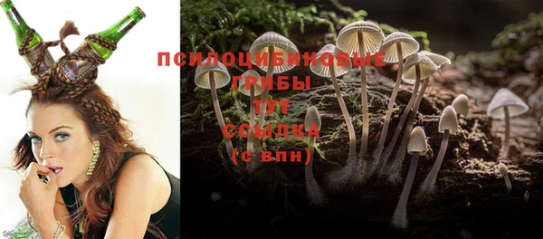spice Волоколамск