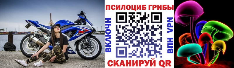 где найти наркотики  Духовщина  Галлюциногенные грибы ЛСД 