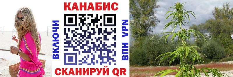 Шишки марихуана Bruce Banner Духовщина